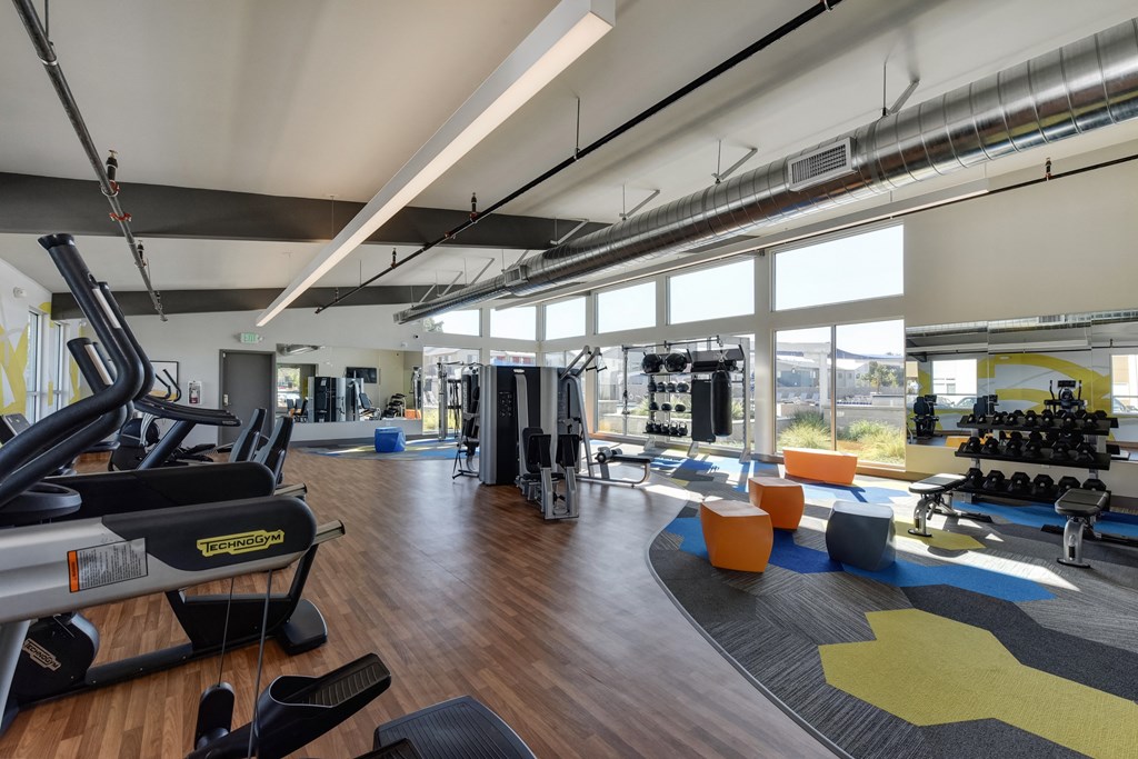 Gym with Hardwood Floor, Treadmills, Excercise Bike, Weight Machines, Full Windows with View of Exterior, and Hand Weight Rack at Addison Ranch Apartments, California