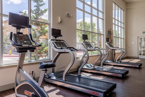 Community fitness center with large windows that allow a lot of sunlight in with a row of cardio equipment looking out the windows.