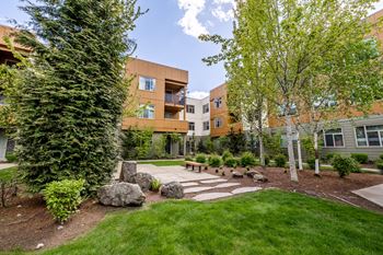 a courtyard with trees and a stone walkway