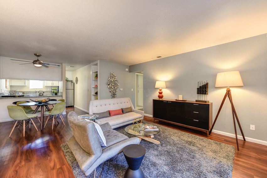 Living Room with light colored accent wall, Hardwood Inspired Floors, Gray Rug, Lamps, and White Sofa Living Room with light colored accent wall, Hardwood Inspired Floors, Gray Rug, Lamps, and White Sofa at Monte Bello Apartments, Sacramento, CA - Photo Gallery