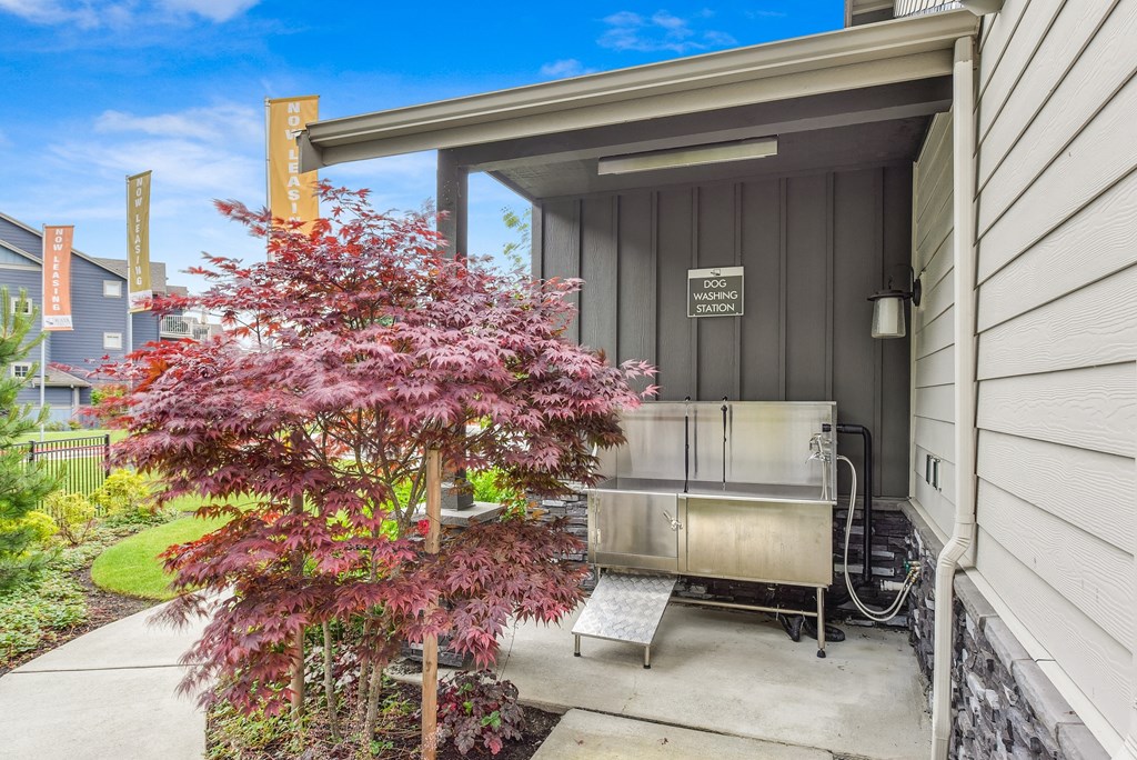 Outdoor Dog Washing Station  with Lavender Tree, Now Leasing Flags