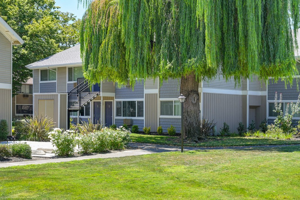 our apartments offer a clubhouse