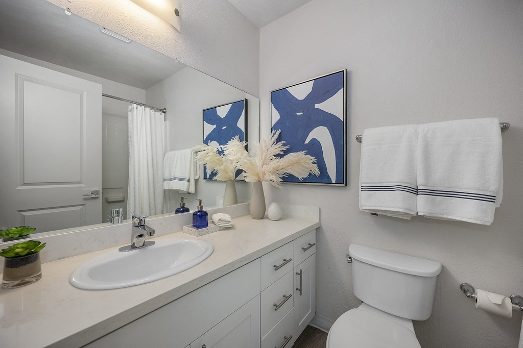 a bathroom with a sink toilet and mirror