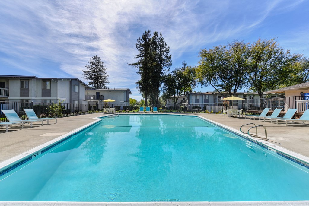Community swimming pool with bright blue skies and mature trees in the distance. at Renaissance Park Apartments, Davis