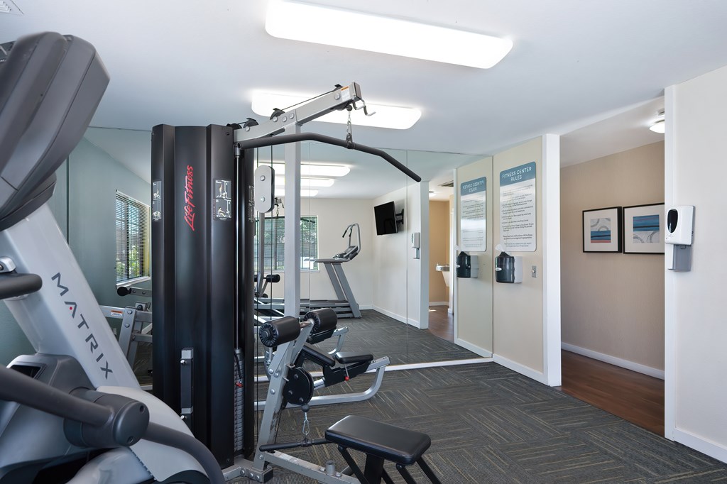 A gym with a variety of equipment including a treadmill, a weight bench and a rowing machine.
