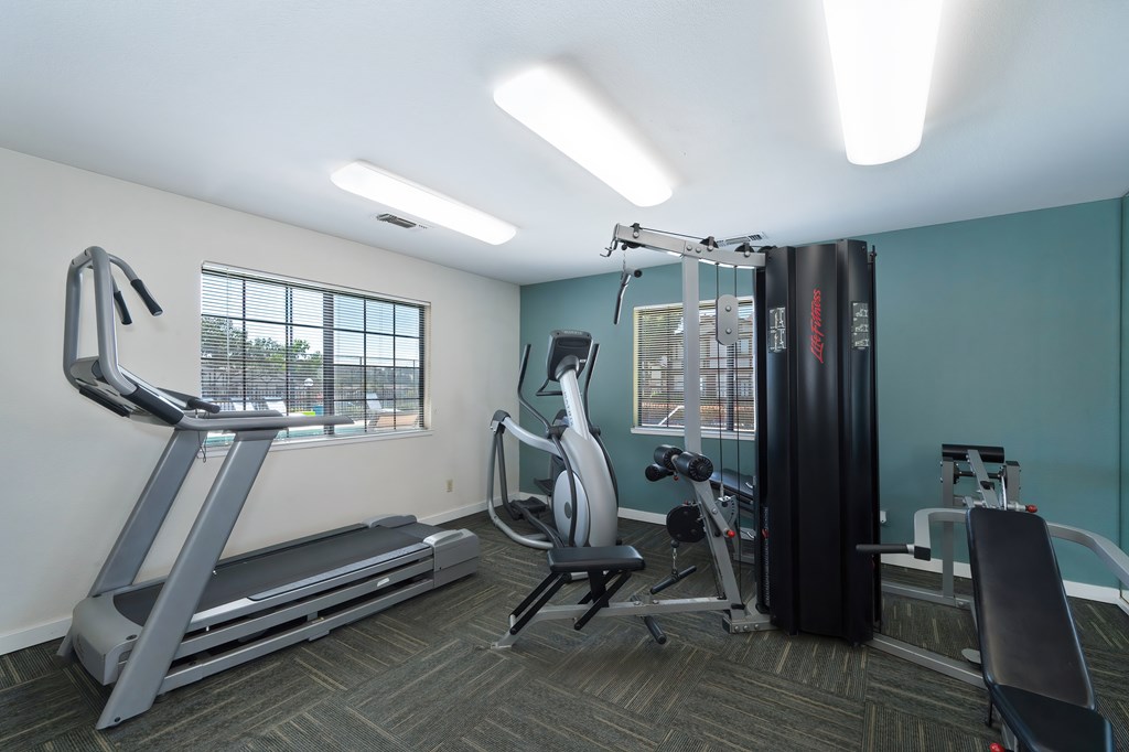 A gym with a treadmill, a weight bench and a squat rack.