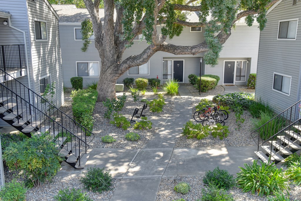 Community courtyard walkway in between buildings with beautifully landscaped grounds and mature trees.  There are bike racks available for storage outdoors. at Silverstone Apartments, Davis, CA, 95618