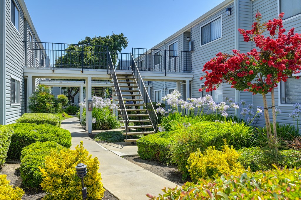 a staircase leading to an apartment building with a garden in front of it at Silverstone Apartments, Davis