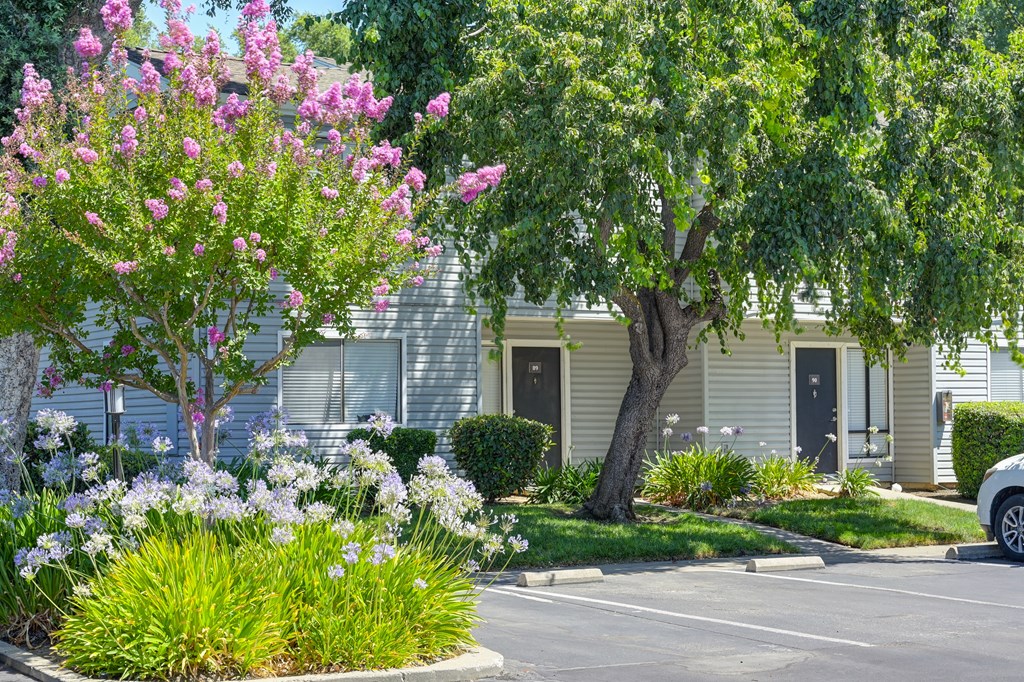 Community Exterior at Silverstone Apartments, Davis, California