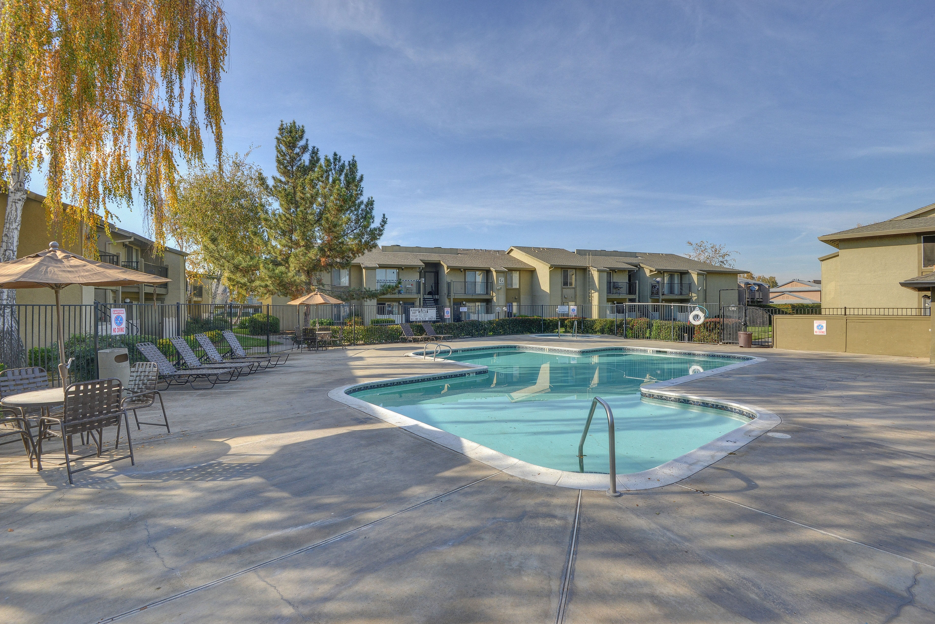 Swimming Pool Lounge Area with Trees, Lounge Chairs, and Apartment ExteriorsCommunity Space Swimming Pool Spa Lounge Area