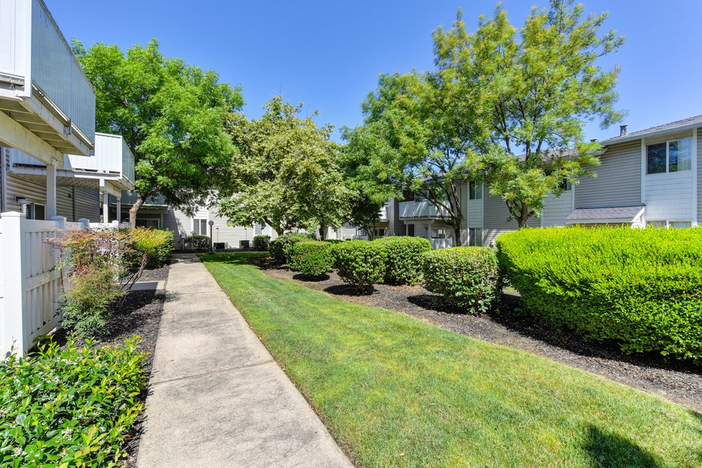Community Walk Path with a grassy area and trees .  Apartment buildings on both sides of the walk path.at The Renaissance Apartments, Citrus Heights California