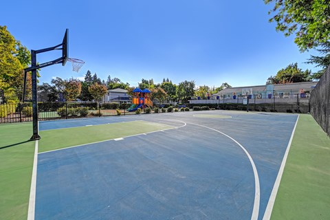 A basketball court with a blue surface and white lines, surrounded by trees and a playground.