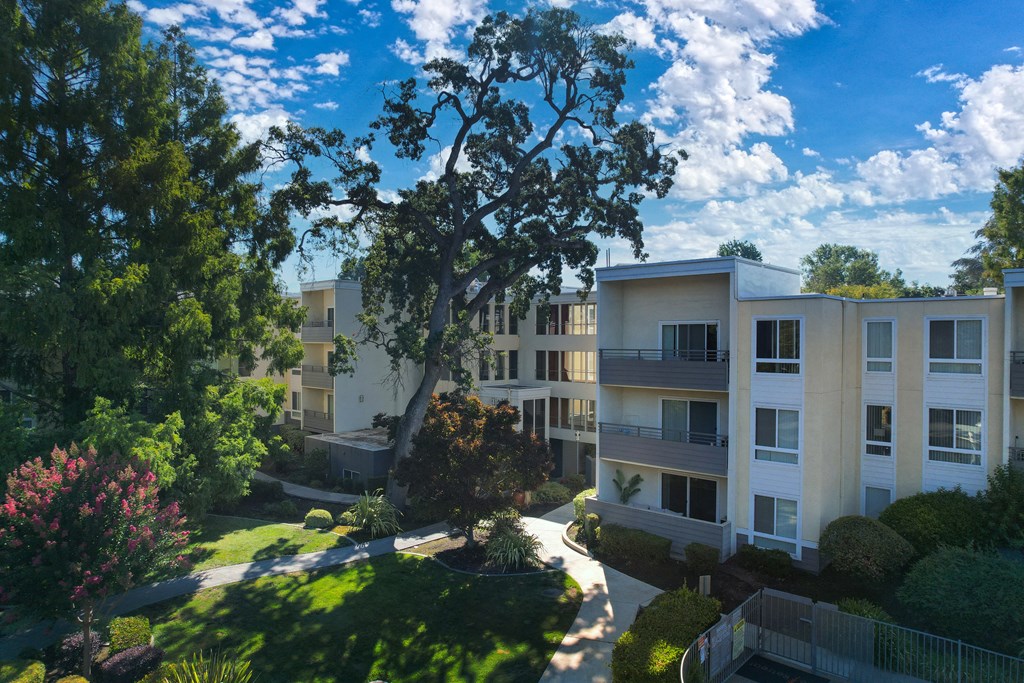 Community Entrance with a large oak tree stands in the middle of The Retreat complex