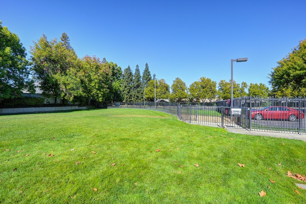 An on-site dog park/dog run area that is fenced for dogs to play and roam off leash. at The Legacy Apartments, California
