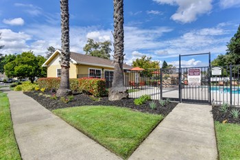Backside of the leasing office and gated pool gate entry.  Two large/mature palm trees at the gate entrance.  - Photo Gallery 22