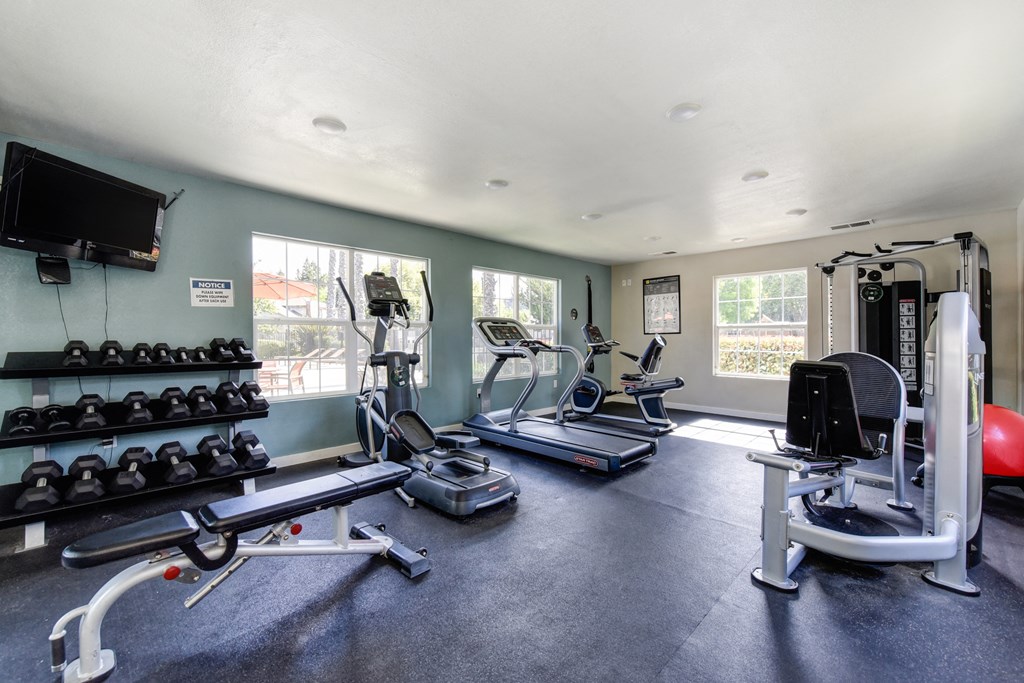 Fitness center with treadmill, cardio machines, free weights and teal blue accent wall at Vineyard Terrace Apartments, California 94558
