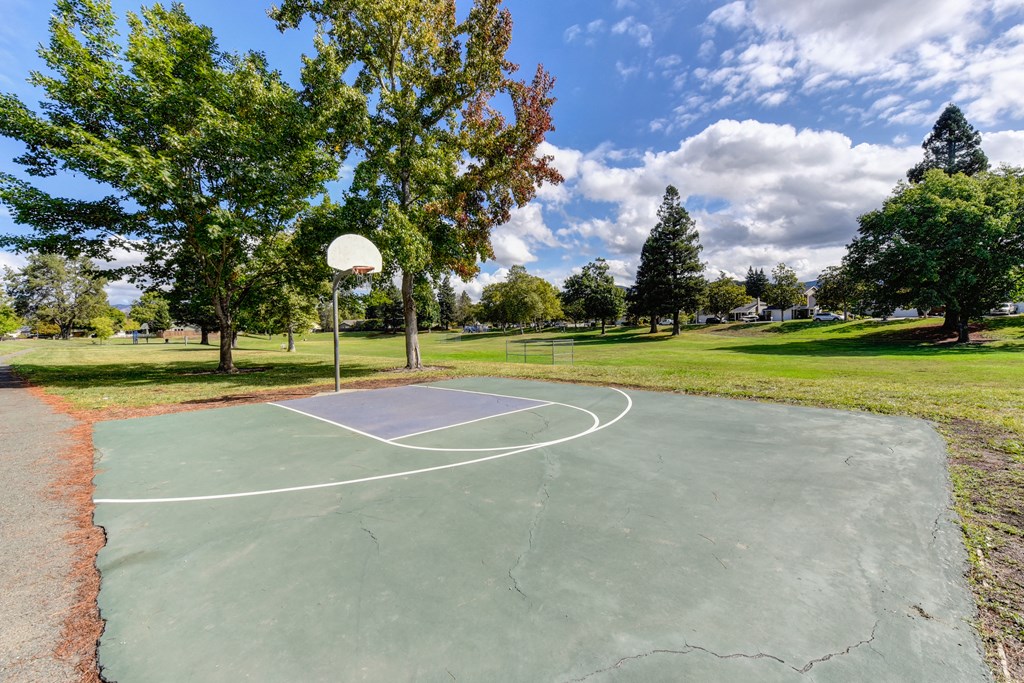 Nearby neighborhood park with 1/2 court basket ball at Vineyard Terrace Apartments, Napa