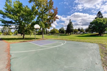 Nearby neighborhood park with 1/2 court basket ball  - Photo Gallery 39