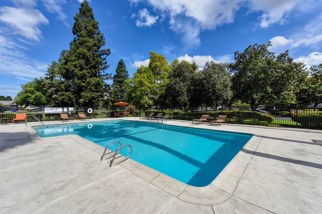 Community swimming pool area with mature trees in the distance at Vineyard Terrace Apartments, Napa