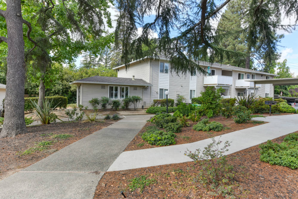 Community Walking Path and Landscaping with Plants and Trees at The Renaissance Apartments, Citrus Heights, 95610