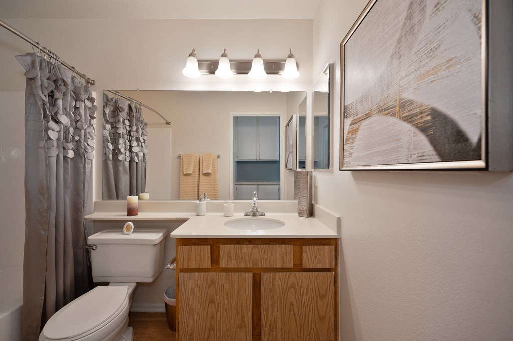 a bathroom with a toilet sink and mirror and a shower