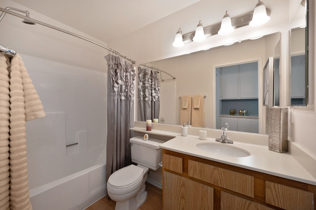 a bathroom with a sink and a toilet and a shower