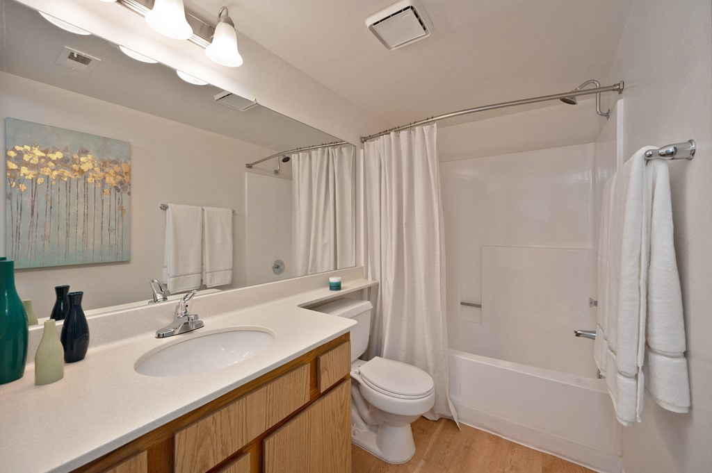 a bathroom with a sink and a toilet and a shower