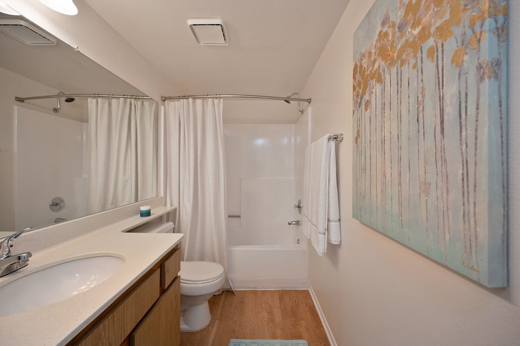 a bathroom with a sink and a toilet and a shower