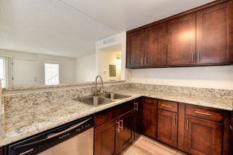 Kitchen with granite counters, darker cabinetry, stainless dishwasher and dual sink. - Photo Gallery