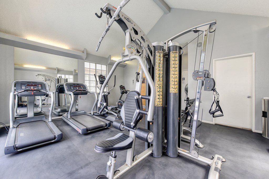 The Woods fitness center with many different types of work out machines and equipment including treadmills, elliptical and full weight lifting system.  