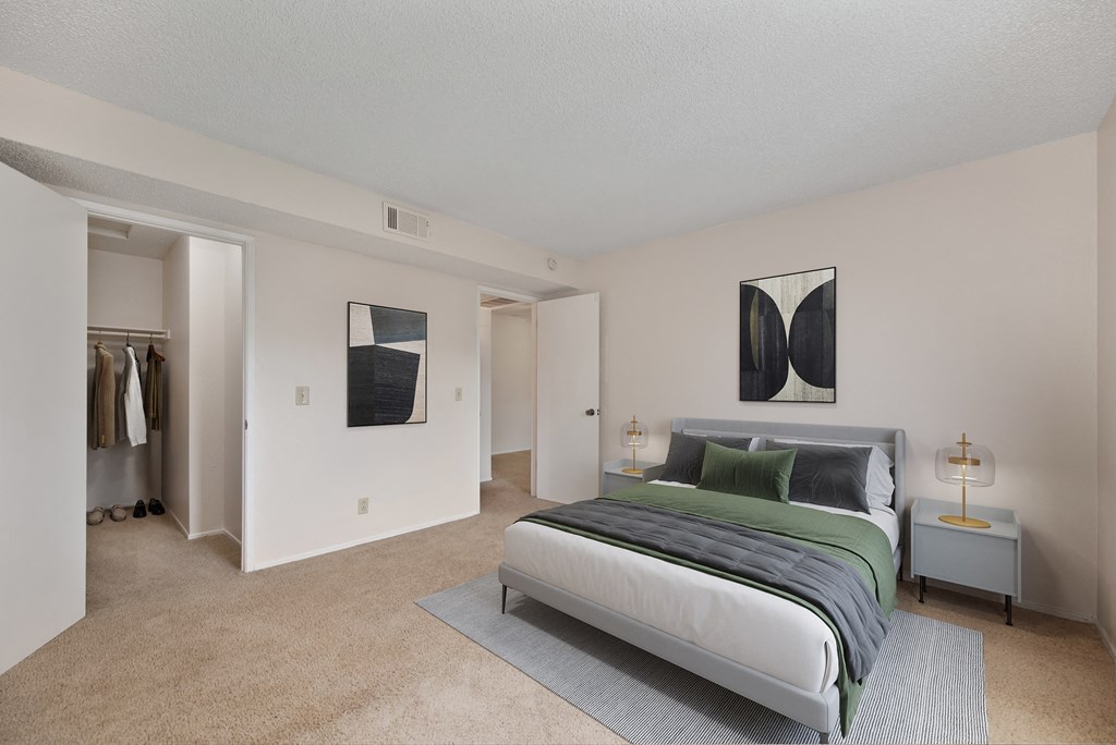 a bedroom with a bed and a closet