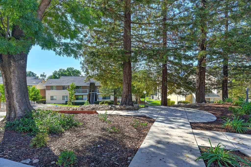 A tree-lined walkway leads to a building.