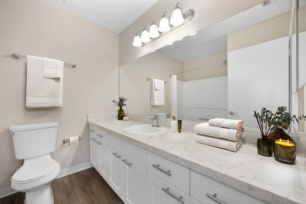 a bathroom with a large mirror and a toilet and a sink