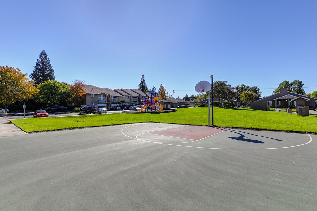 a basketball court in a park with houses in the background