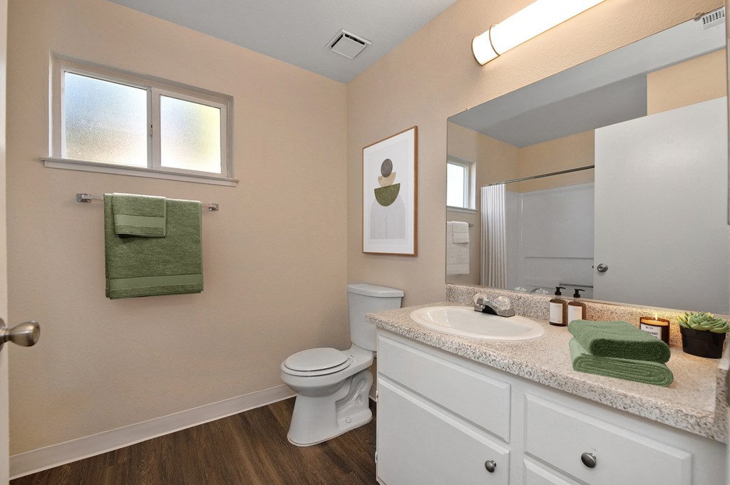 a bathroom with a sink and a toilet and a mirror