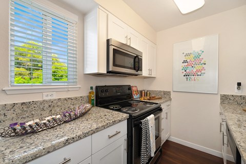a kitchen with granite counter tops and a stove and microwave