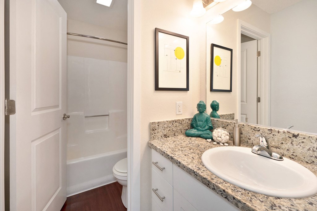 Large Soaking Tub In Master Bathroom at Hidden Oaks Apartments, Citrus Heights, CA, California