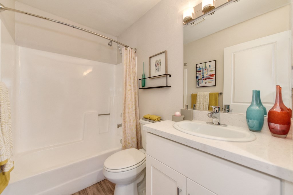 a bathroom with a sink and a toilet and a shower