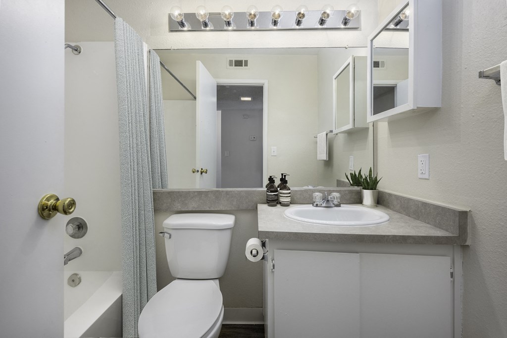 a bathroom with a sink toilet and a mirror