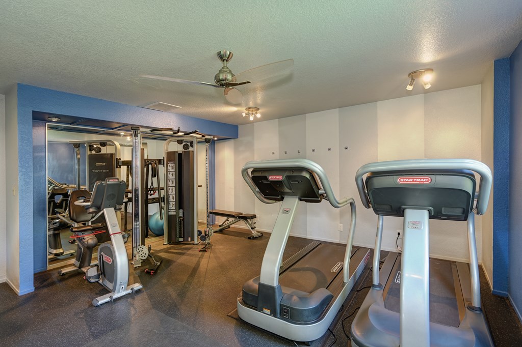 Community fitness center on-site with treadmills, cardio machines and bike. There is also a weight system. A few walls inside the fitness center are painted blue. at Rush River Apartments, Sacramento, 95831