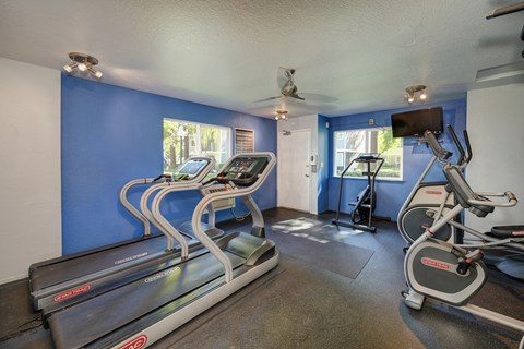 Community fitness center on-site with treadmills, cardio machines and bike.  There are blue accent walls inside the gym room. at Rush River Apartments, Sacramento, 95831