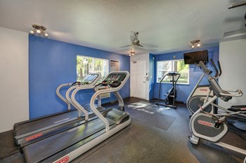 Community fitness center on-site with treadmills, cardio machines and bike.  There are blue accent walls inside the gym room. - Photo Gallery 17
