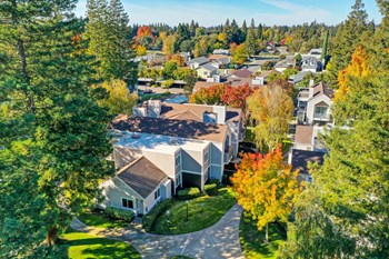 Drone image of the property and the neighborhood taken right above the community.  Many tress and apartment exterior buildings - Photo Gallery 29