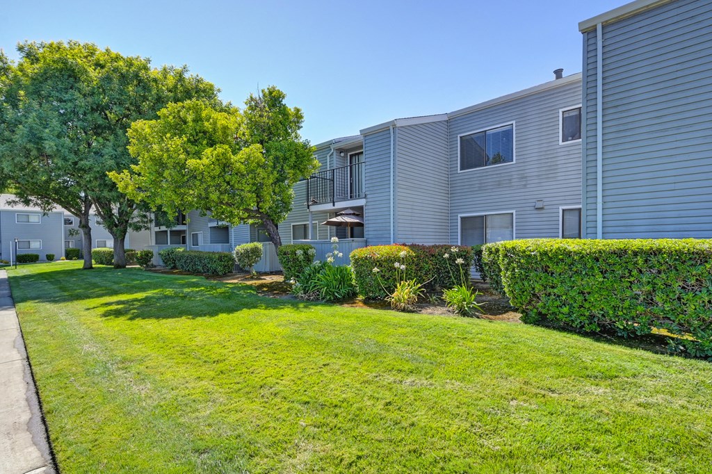 Lawn at Silverstone Apartments, Davis, California