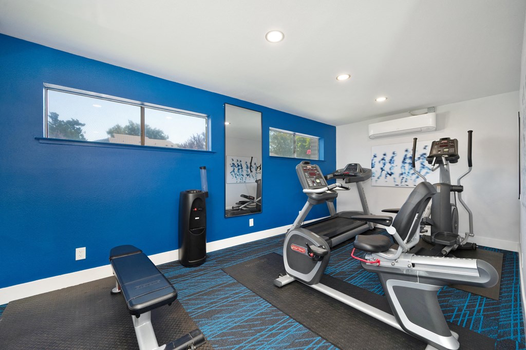 Fitness Center with Yoga Balls, Hardwood Inspired Floor, Treadmills, Ellipticals, and Exercise Bike at Silverstone Apartments, Davis, CA