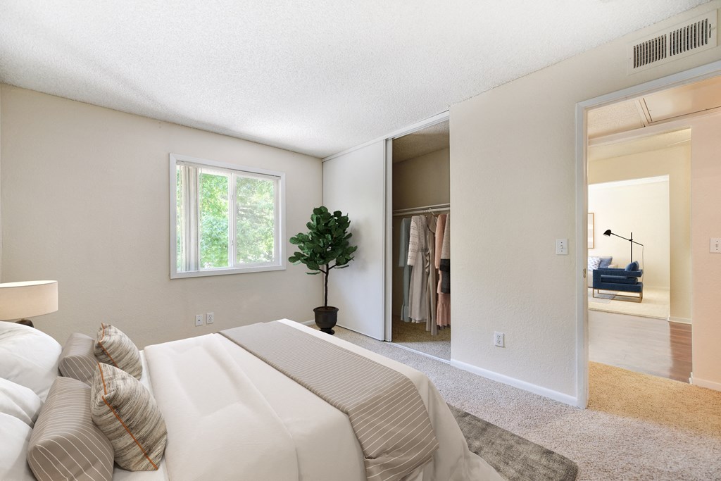 A living room with a white couch and a small tree in a black pot.