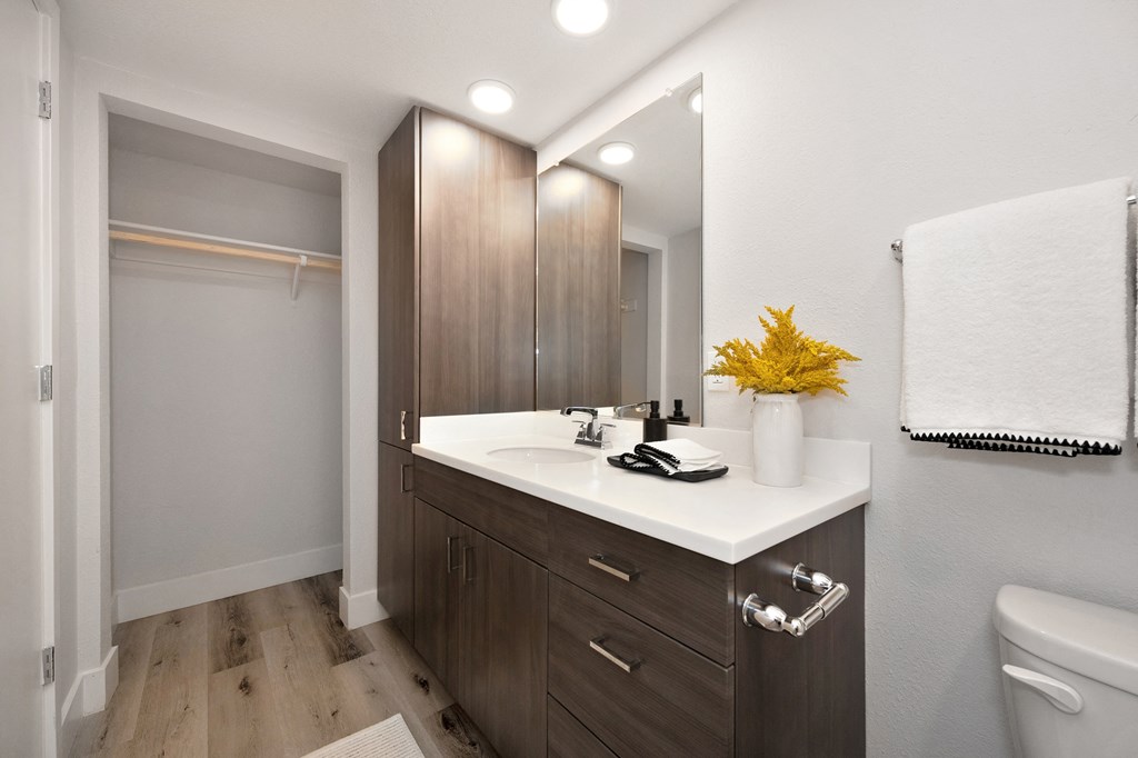 the preserve at ballantyne commons modern bathroom with white sink and wood cabinets  at Track 281 Apartments, Sacramento, CA