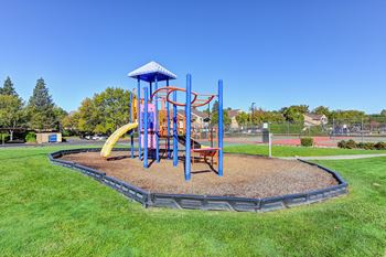 a playground at a park with a blue swing set