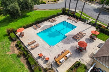Drone footage of the community pool area showing sun deck with lounge chairs and gas BBQs  - Photo Gallery 21