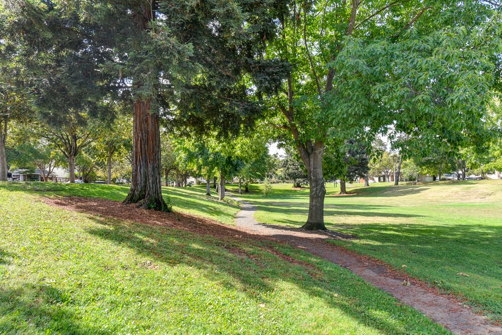 Nearby neighborhood park with waling trails and mature trees and landscaping at Vineyard Terrace Apartments, Napa, CA, 94558